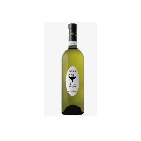 FALANGHINA TERRE DELLE STELLE  75 CL (U)