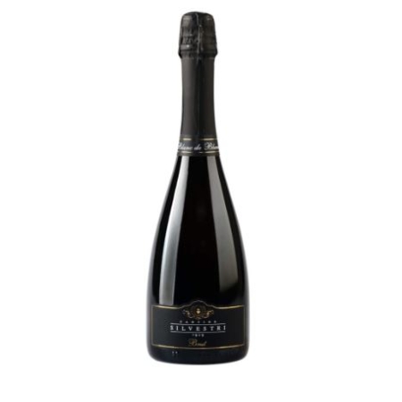 SPUMANTE BRUT SILVESTRI 75 LC (U)