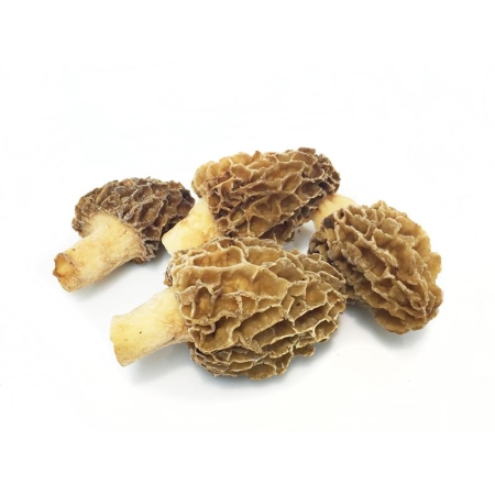 COLMENILLA HONZA CONGELADA 500 GRS (U)*