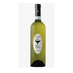FALANGHINA TERRE DELLE STELLE  75 CL (U)
