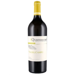 QUINTODECIMO FALANGHINA IRPINIA VIA DEL CAMPO 75 CL (U)