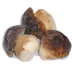 BOLETUS EDULIS 1º ENTERO HONZA 1 KG (U)