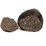 TARTUFO NERO FRESCHI MELANOSPORUM (KG)*